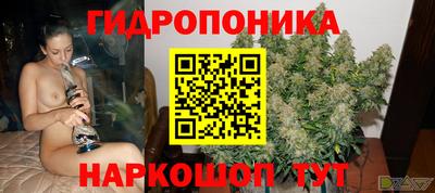 мдпв Аргун