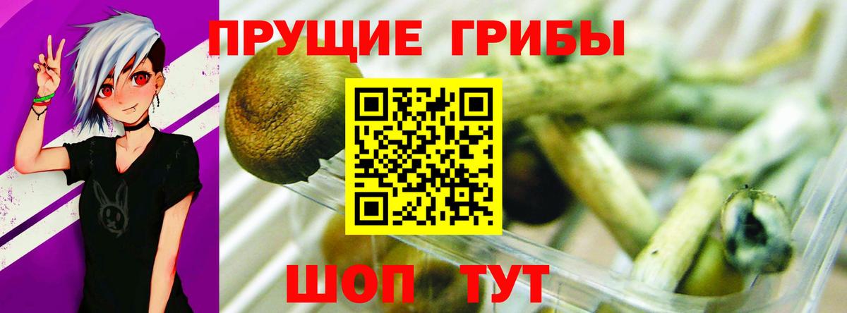 Псилоцибиновые грибы мухоморы Белогорск